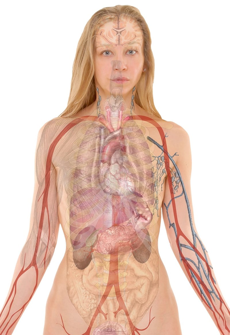 Body Awareness