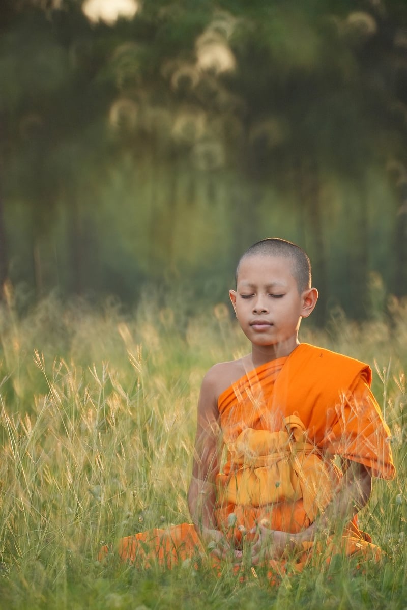 Mindful meditation